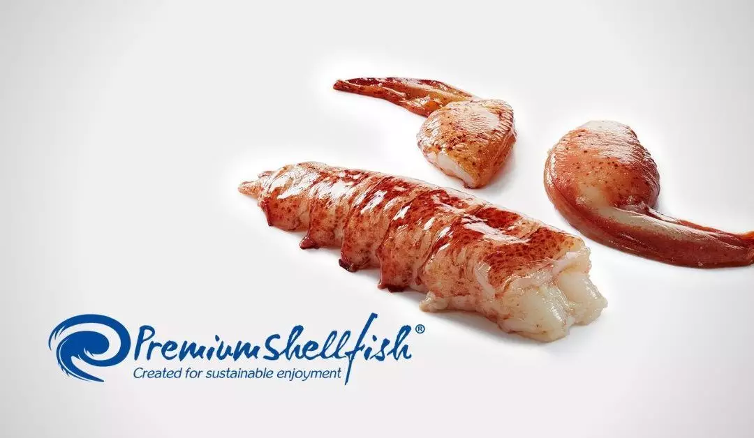 Premium Shell Fish