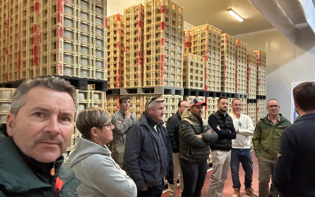 Visita a Pago Valle de los Molinos