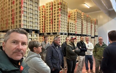 Distribuciones Indalques 4 Visita a Pago Valle de los Molinos