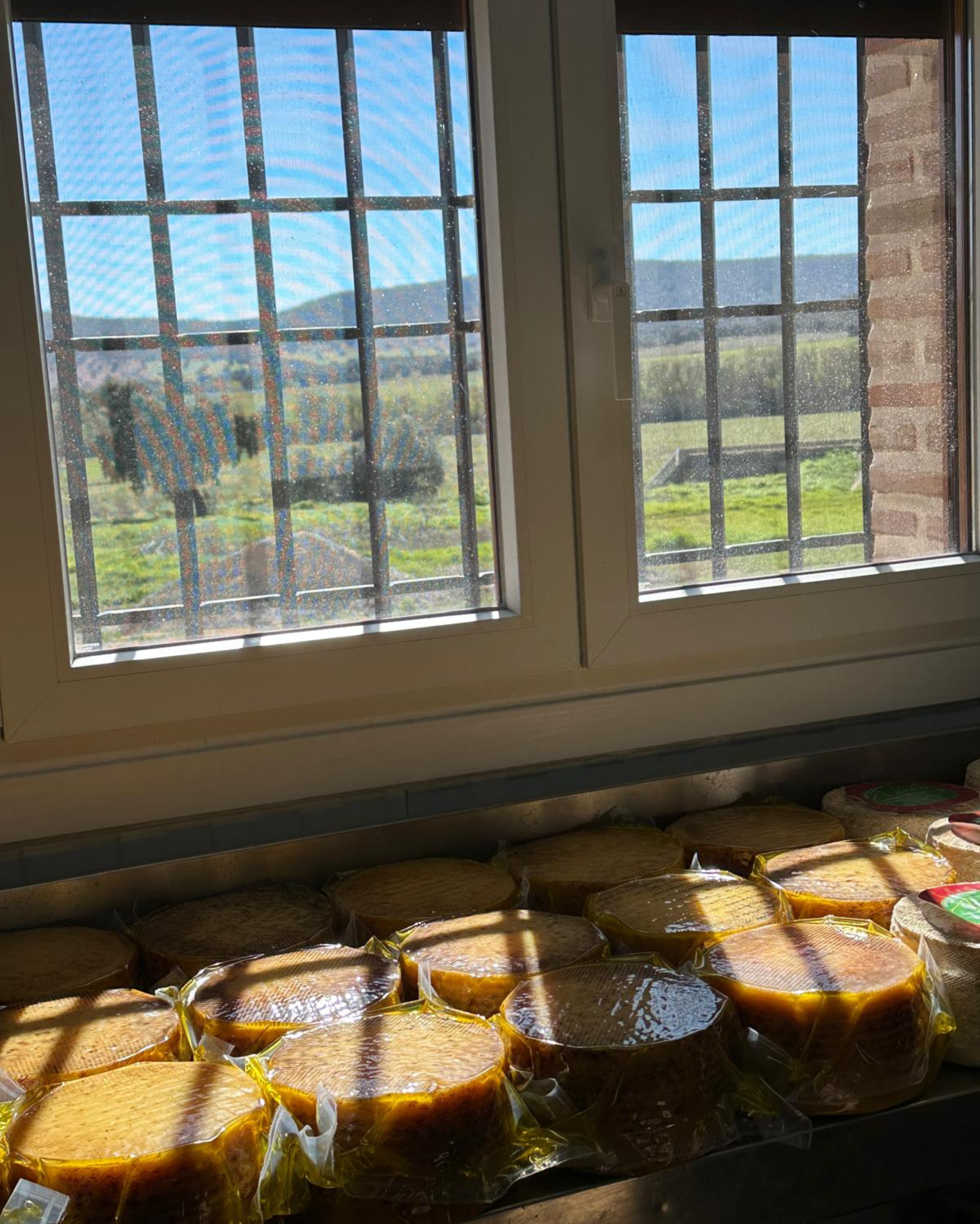 servicio a domicilio 10