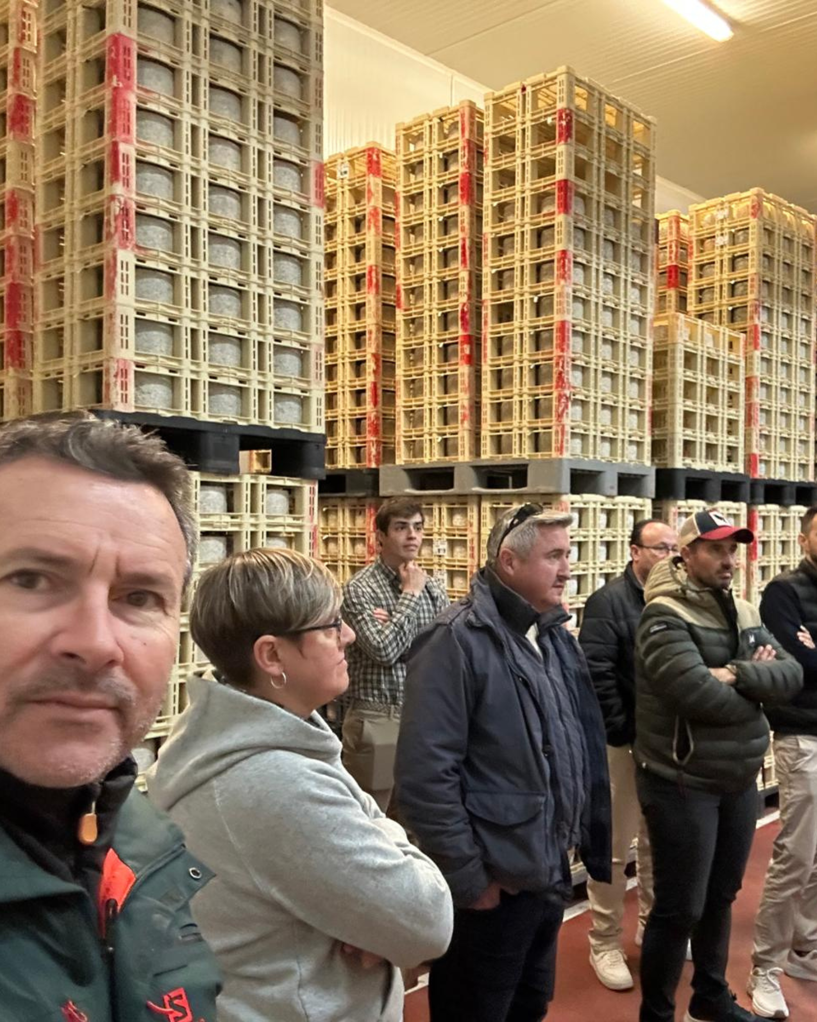 servicio a domicilio 7