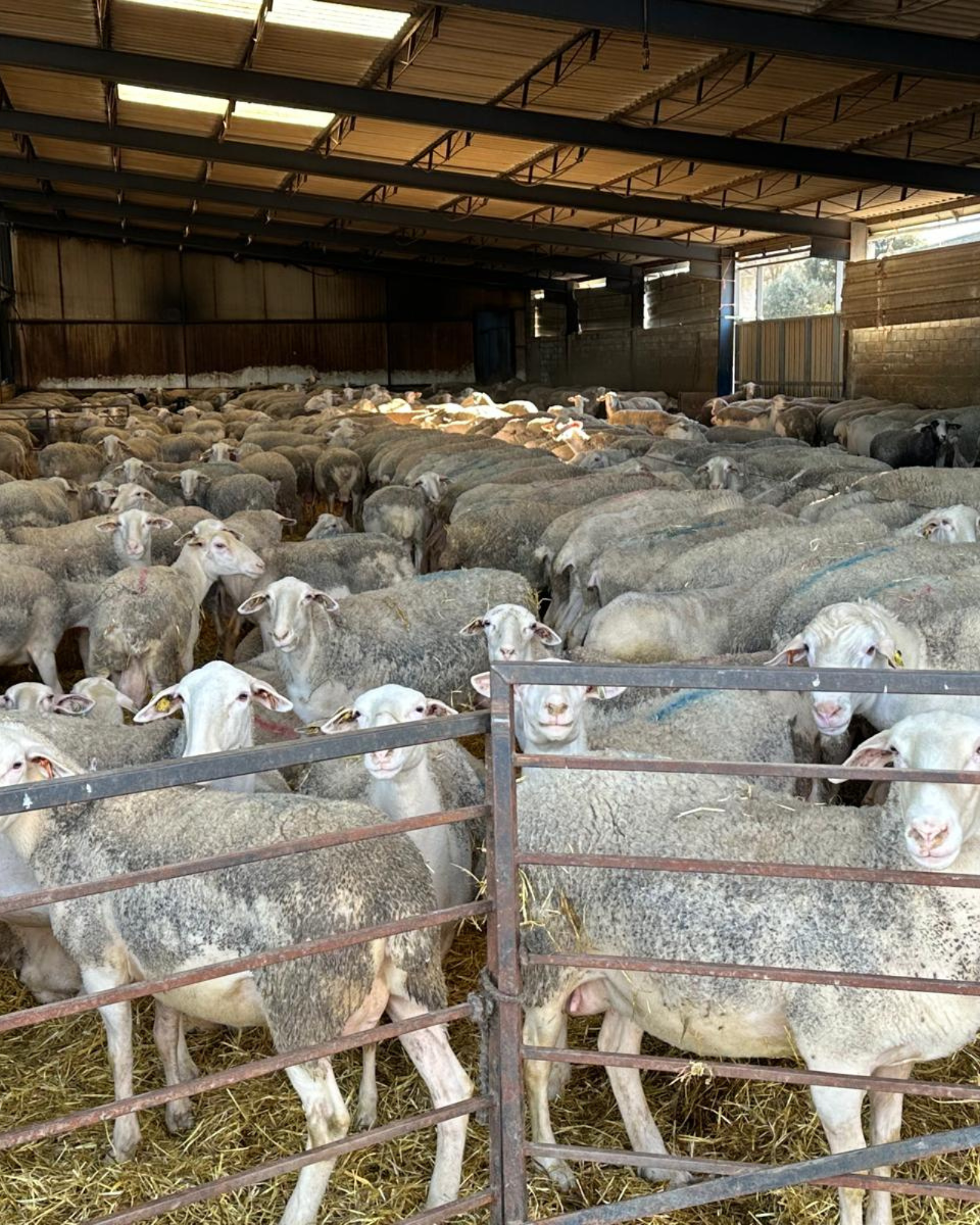 servicio a domicilio 9